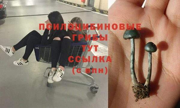 а пвп мука Баксан